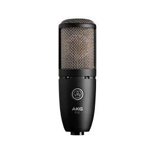 AKG P220 High Performance Large Diaphragm True Condenser Microphone