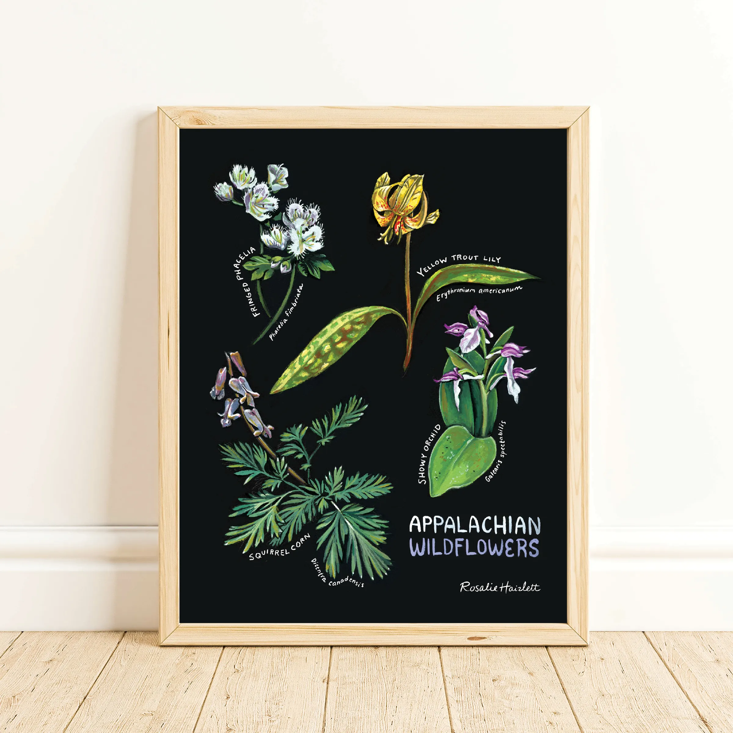 Appalachian Wildflowers Art Print