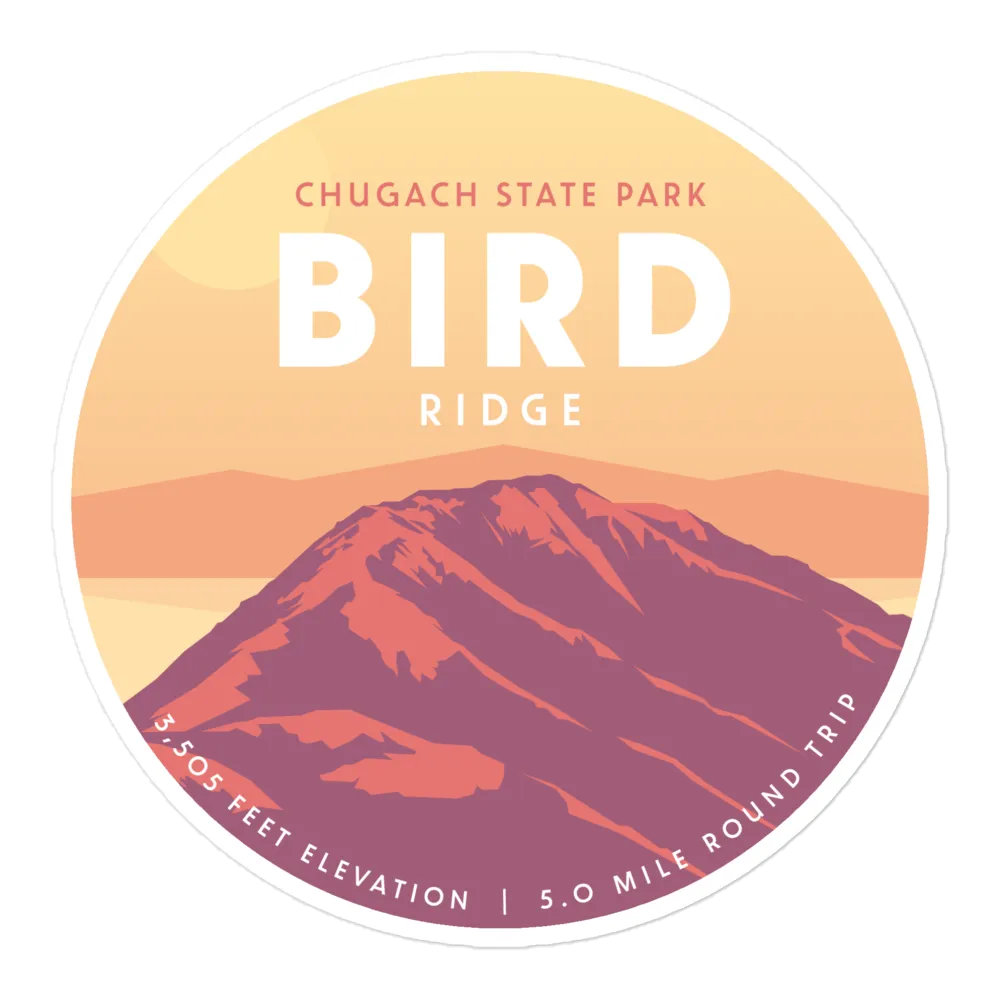 Bird Ridge Kids Hoodie