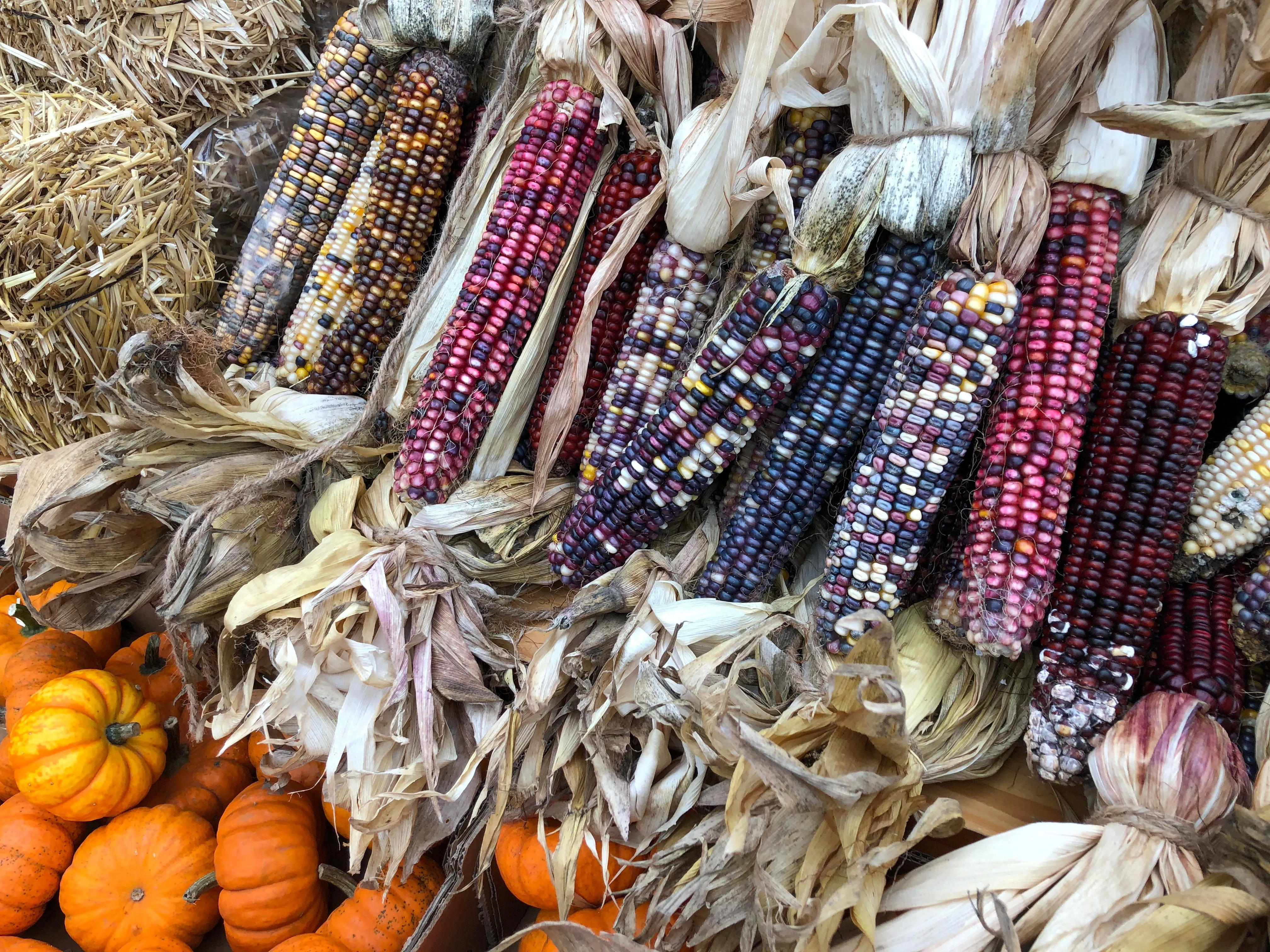 Fall Decoratives