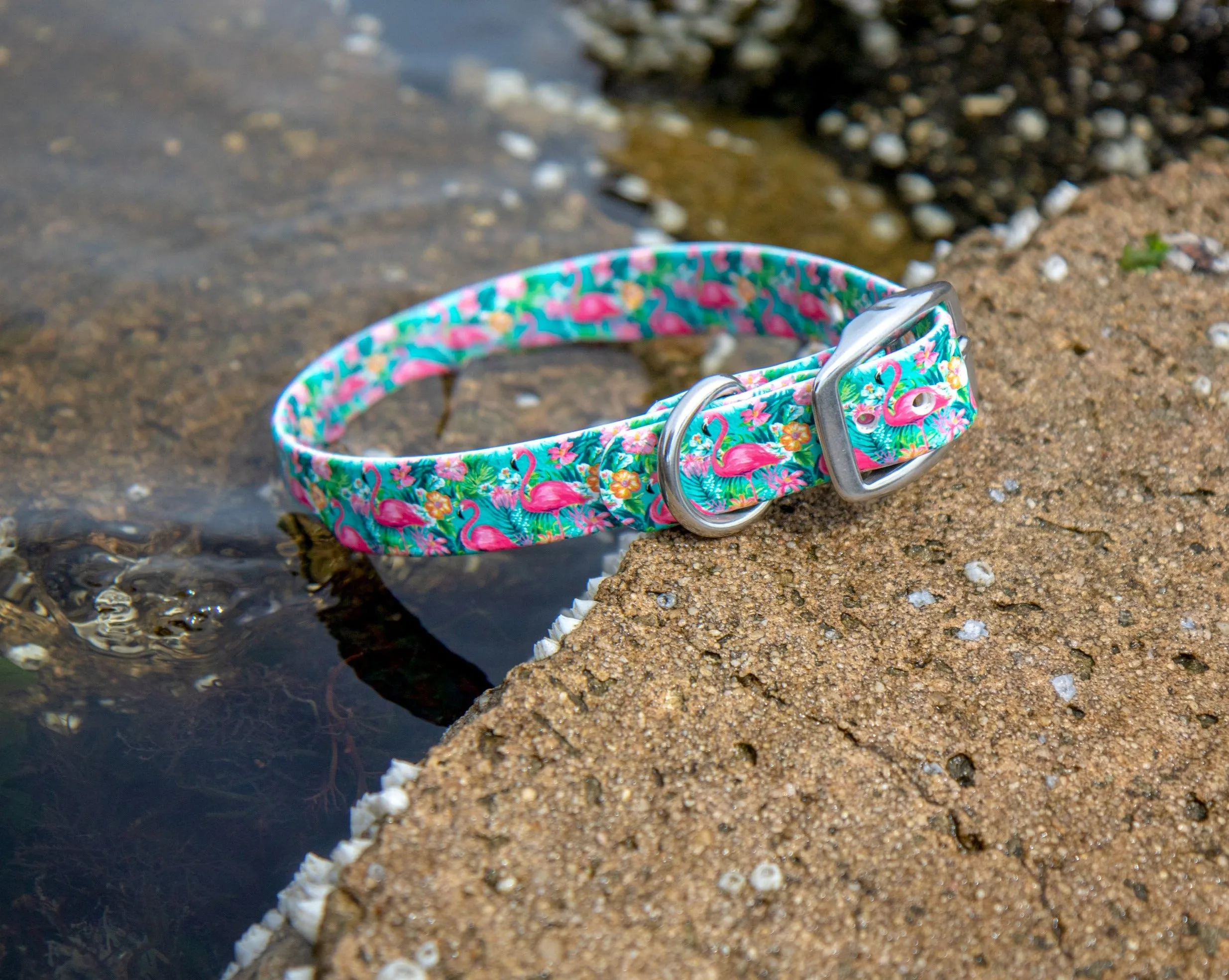 Flamingo BioThane® Collar