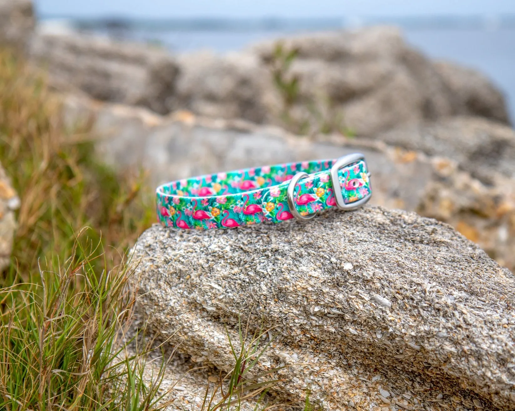 Flamingo BioThane® Collar