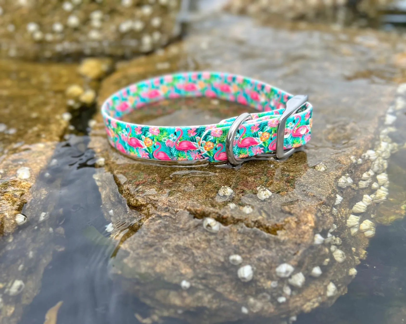 Flamingo BioThane® Collar