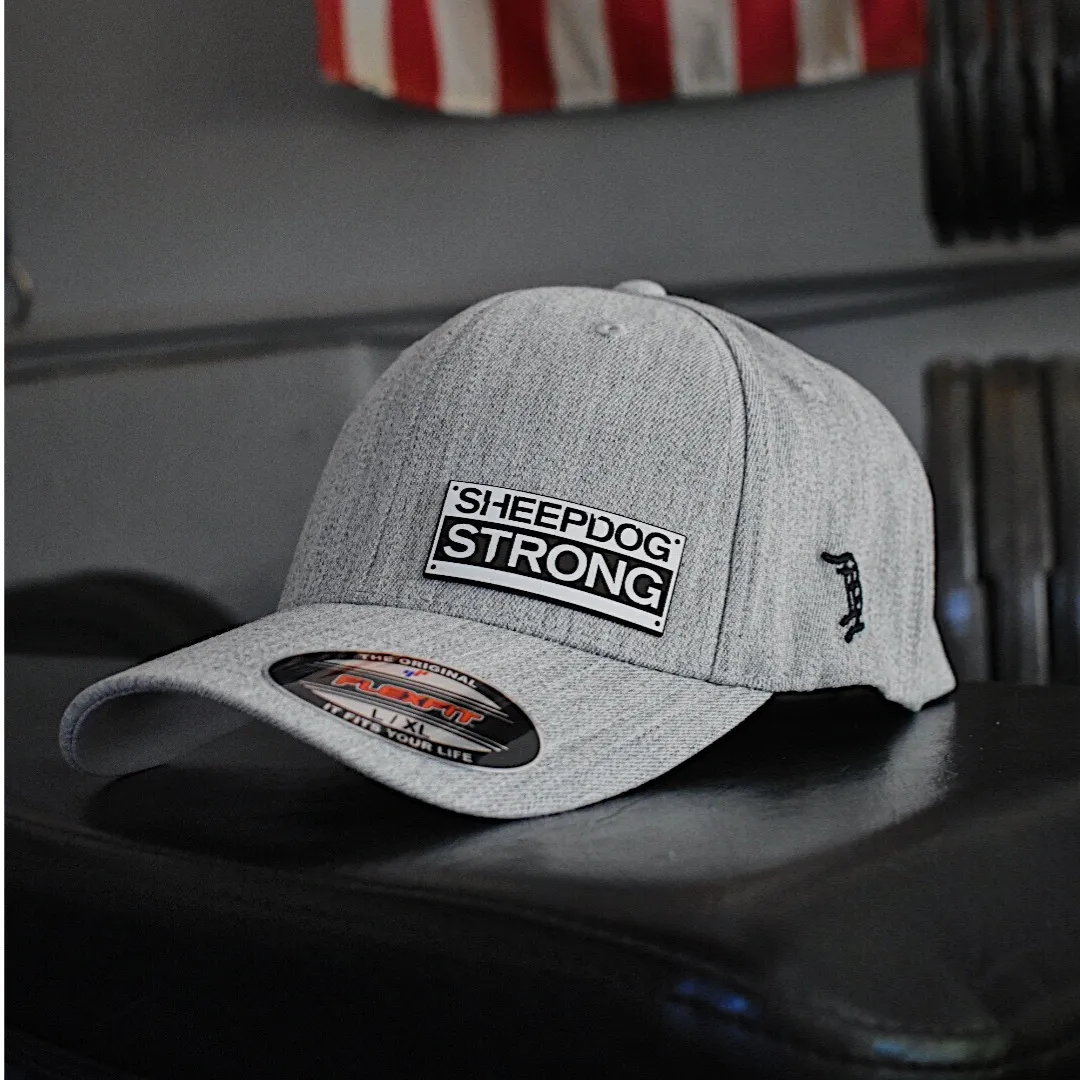 Flex Fit / Forged Cap