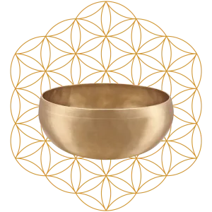 Flower Of Life Synthesis Singing Bowl 8" / 1000g