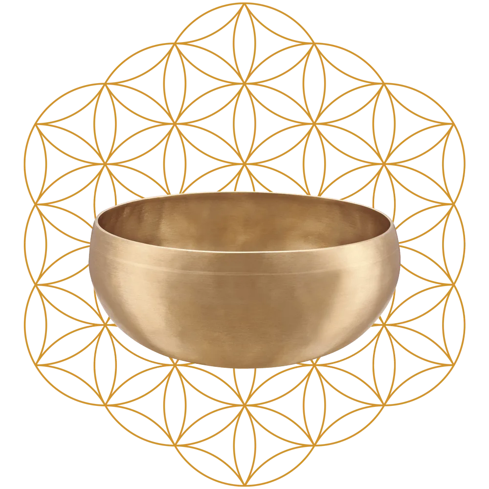 Flower Of Life Synthesis Singing Bowl 8" / 1000g