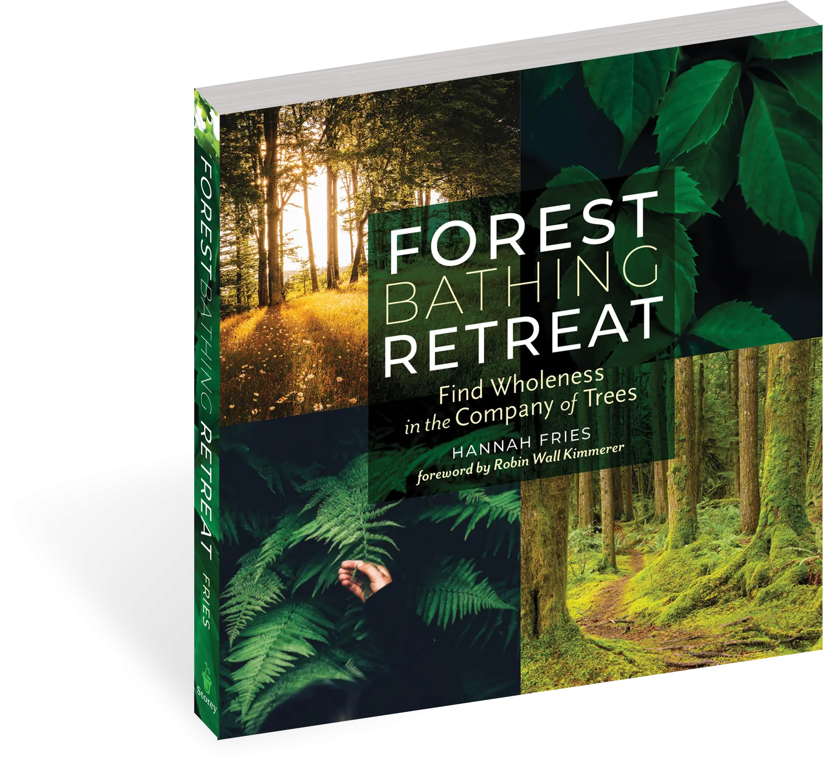 Forest Bathing Retreat