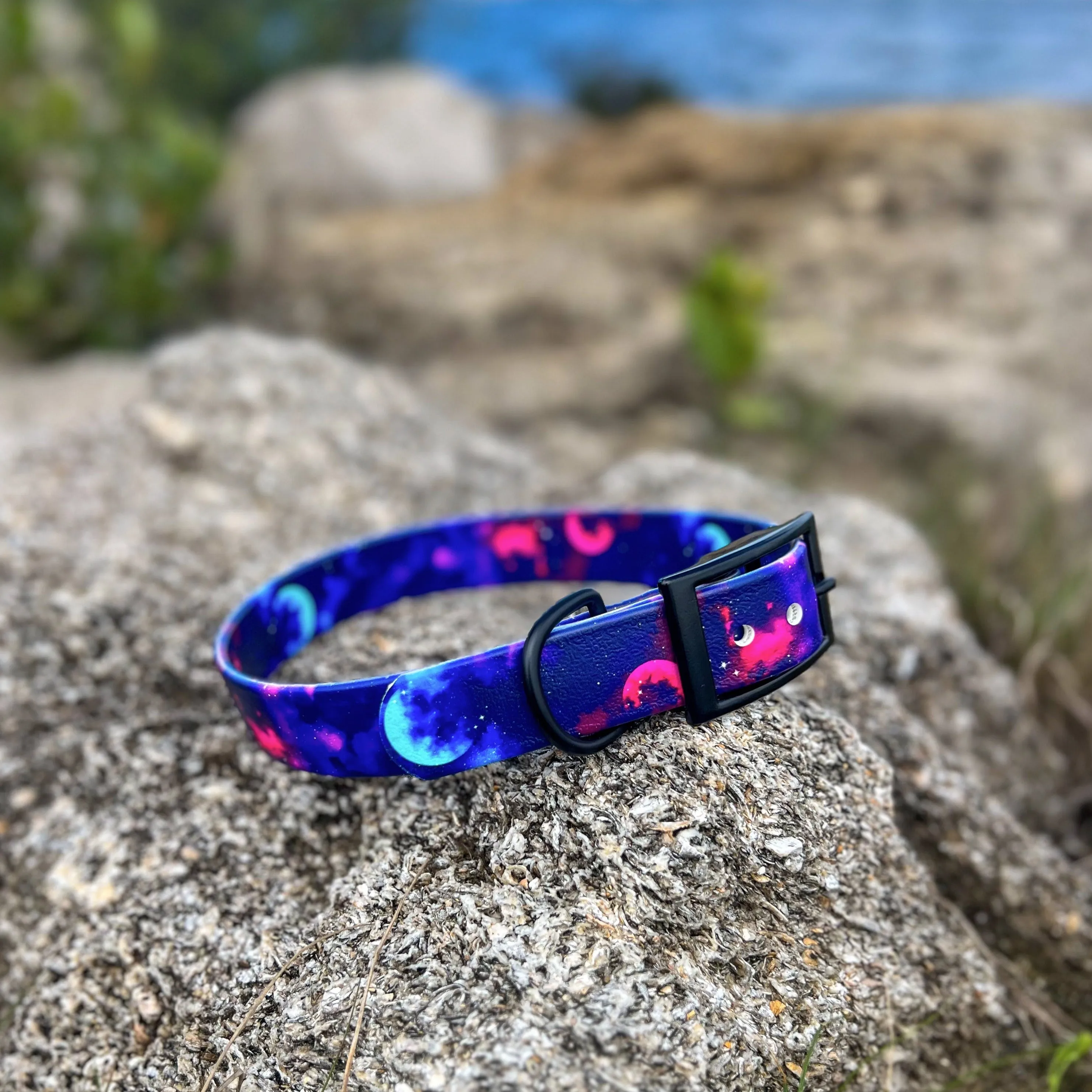 Galaxy BioThane® Collar
