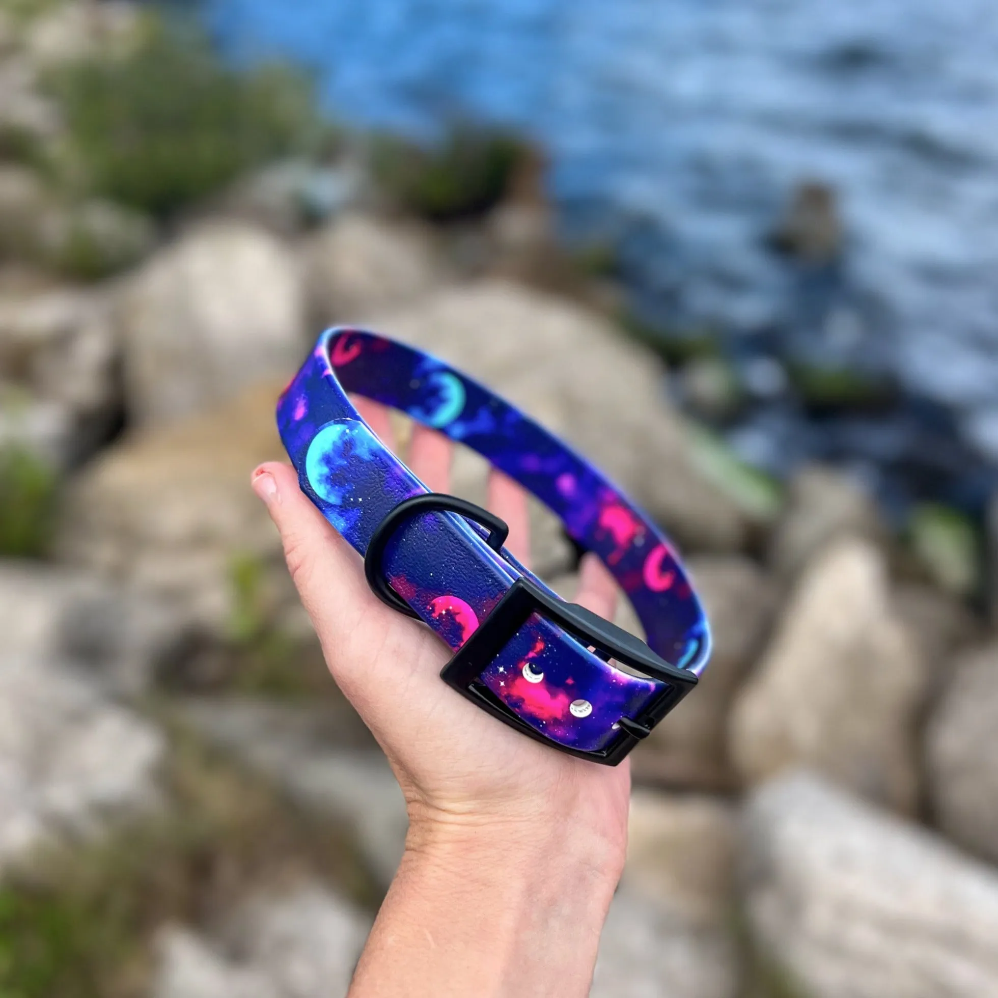 Galaxy BioThane® Collar