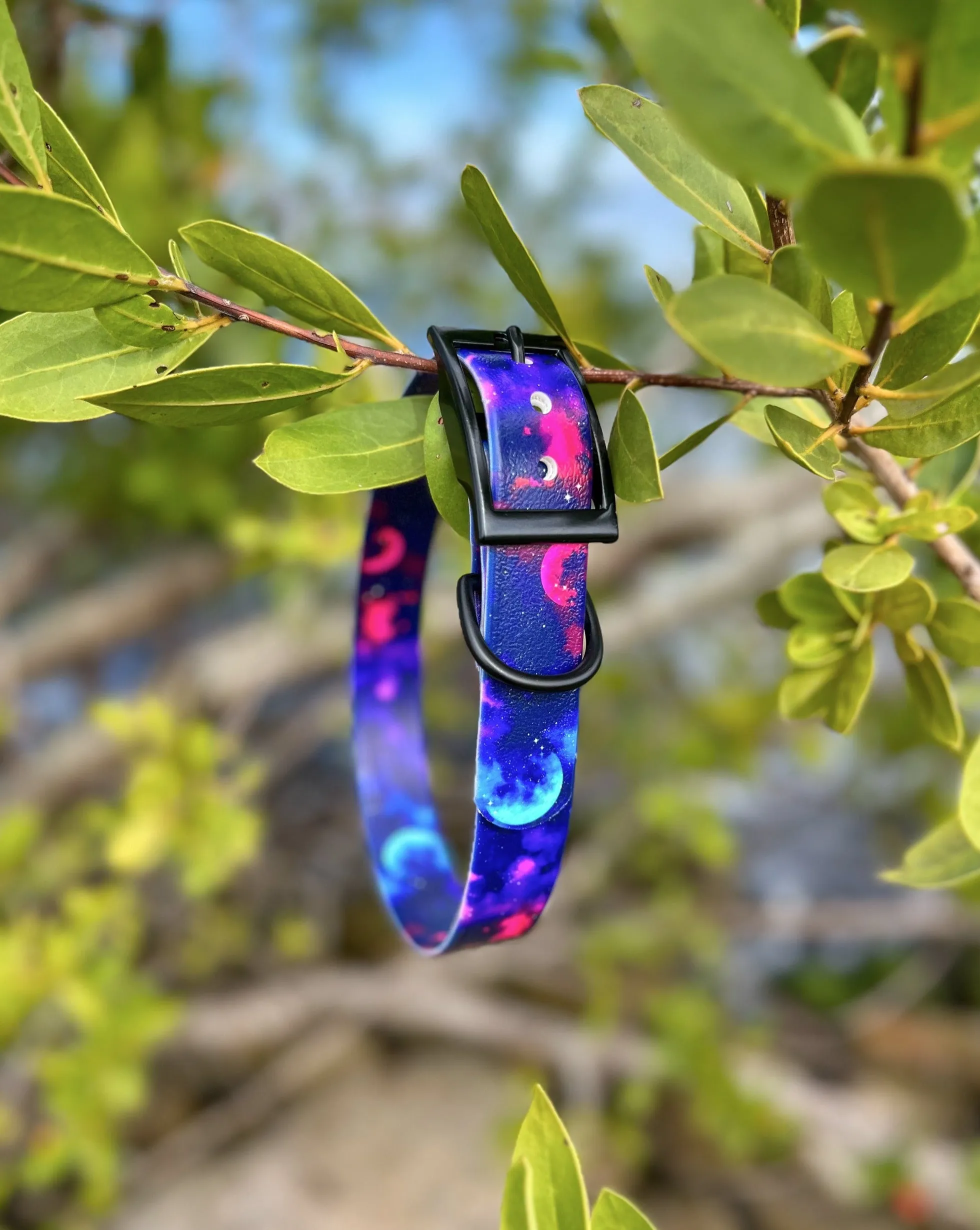Galaxy BioThane® Collar