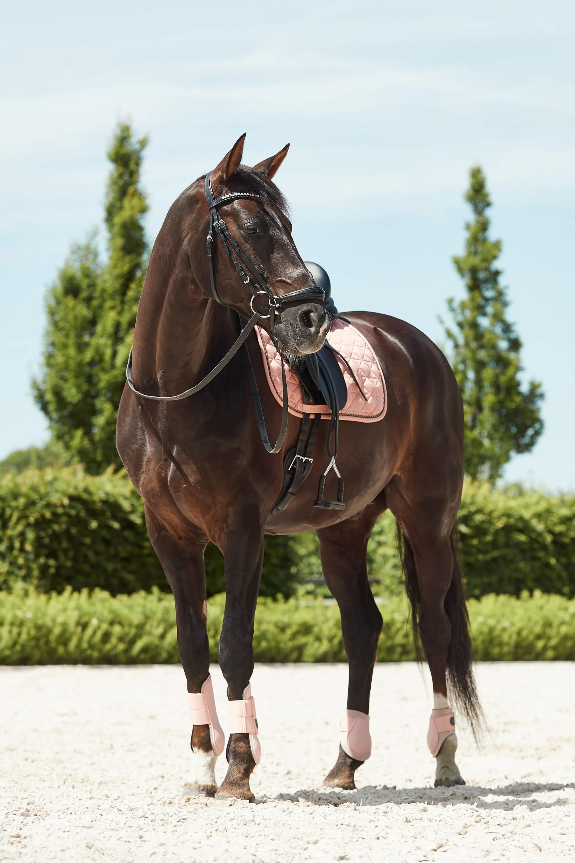 Horze Coventry Dressage Saddle Pad Coral Pink