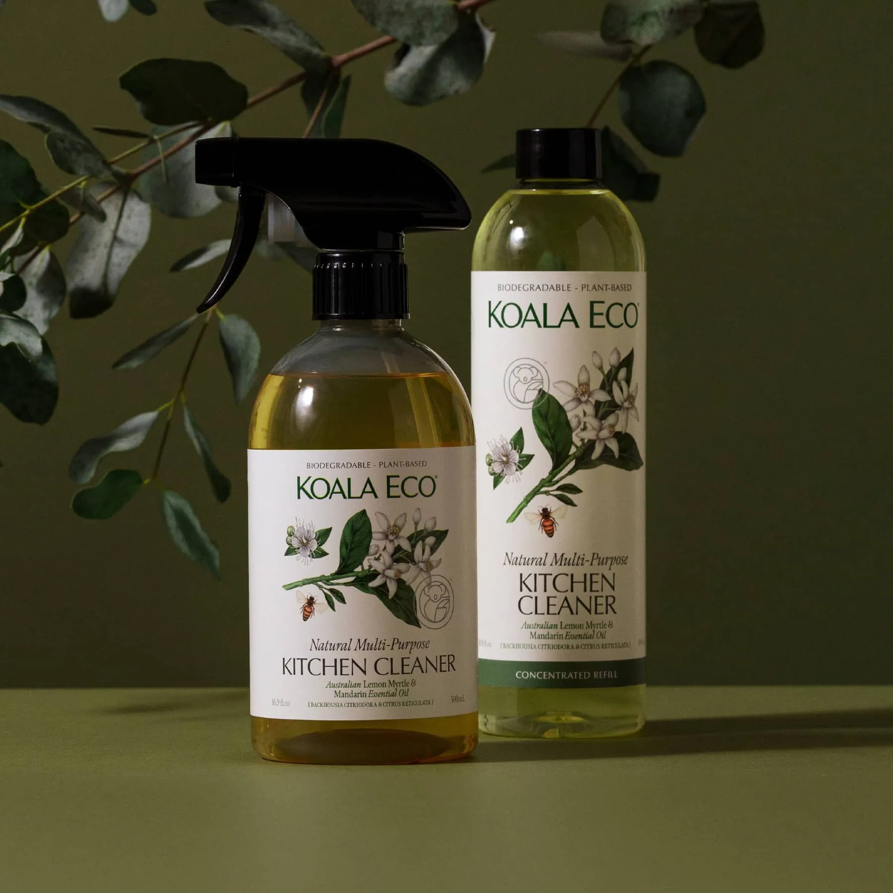 Kitchen Cleaner Duo