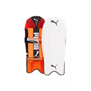 PUMA Evo 2 WICKET KEEPING PADS