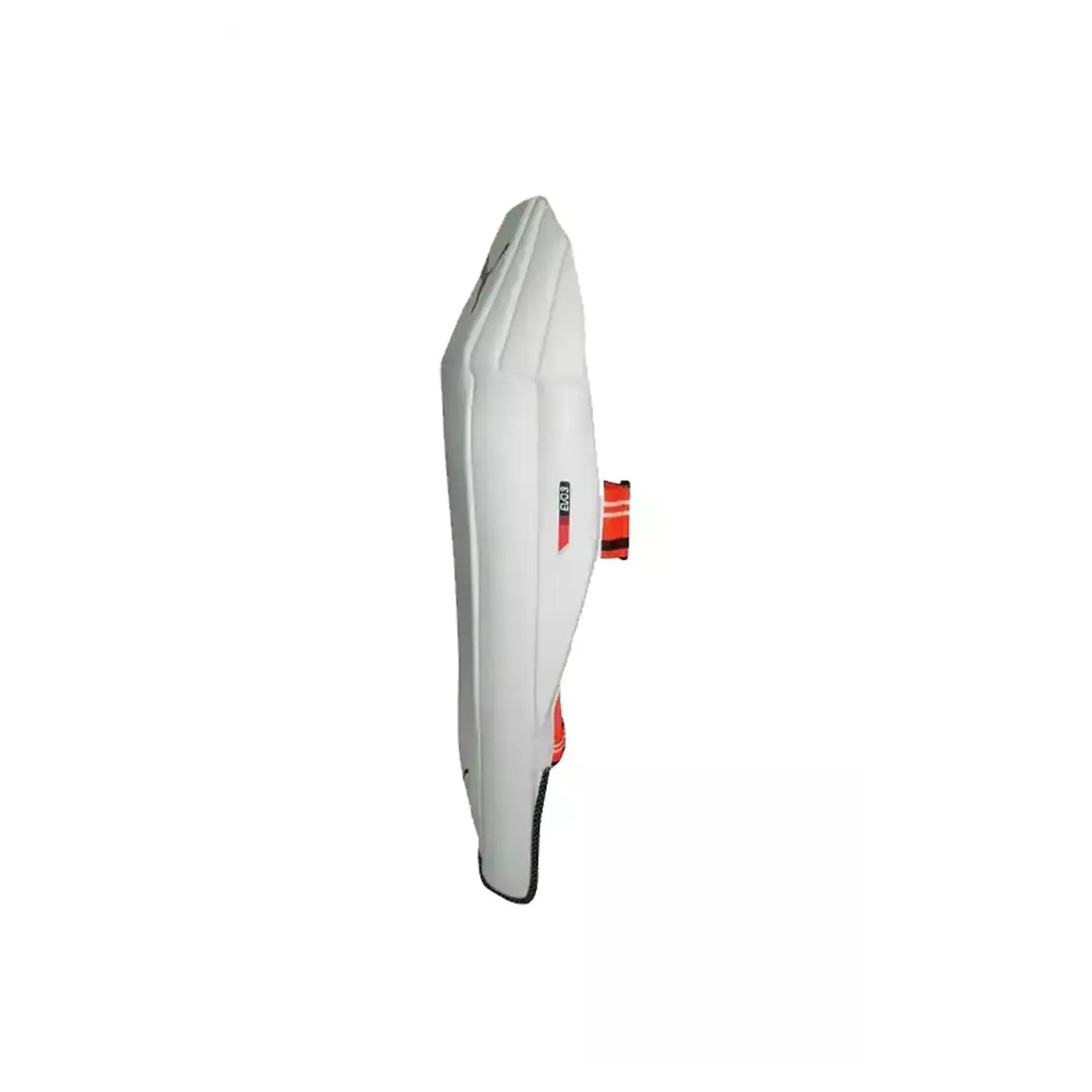 PUMA Evo 2 WICKET KEEPING PADS