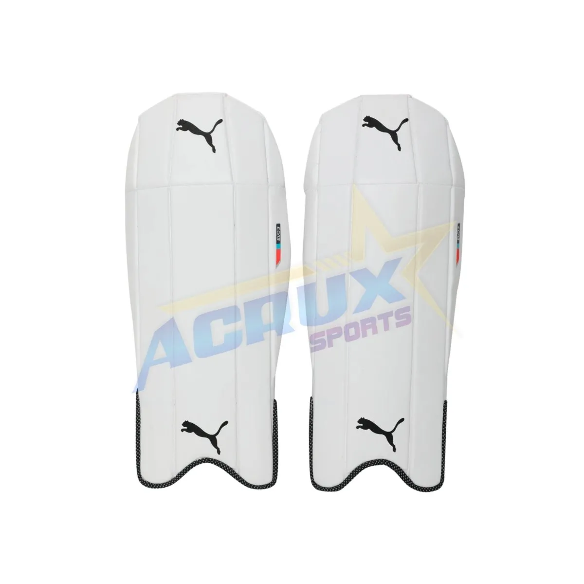 Puma Evo 3 Cricket Wicket Keeping Pad Junior