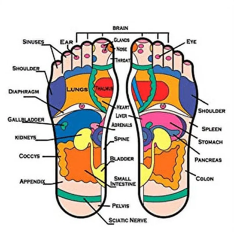 Reflexology Foot Massager Tool, Plantar Fasciitis Relieve Diabetic Neuropathy ,Acupressure Trigger Point Therapy , Heel Arch Arthritis