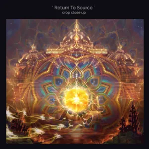 Return To Source   Antidote