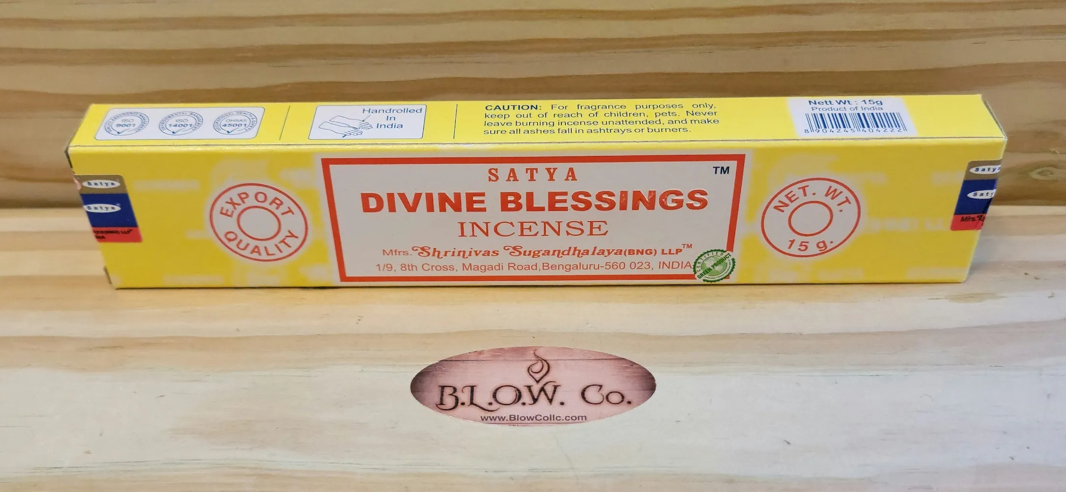Satya Diving Blessings