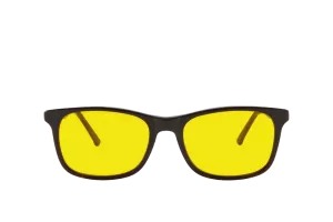 Smith Light Sensitivity Glasses