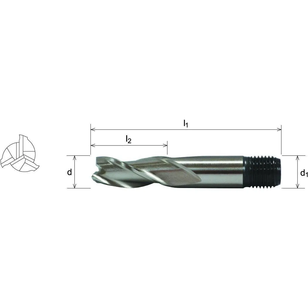 Somta 3 Flute 6mm HSS-Co8 Multi-Purpose End Mill