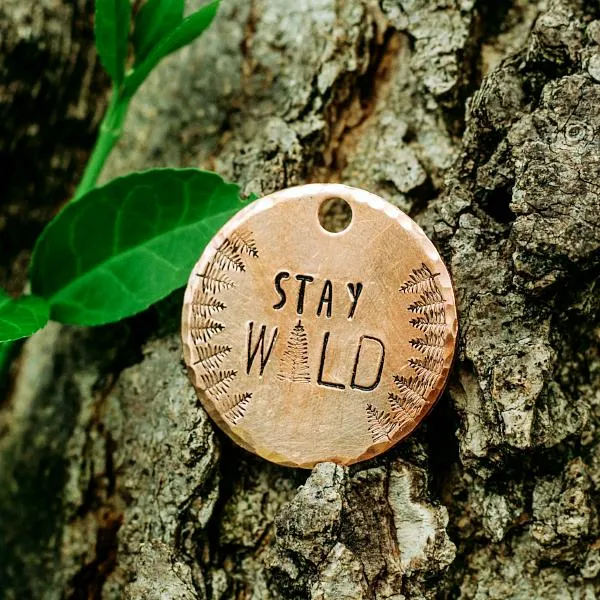 Stay Wild